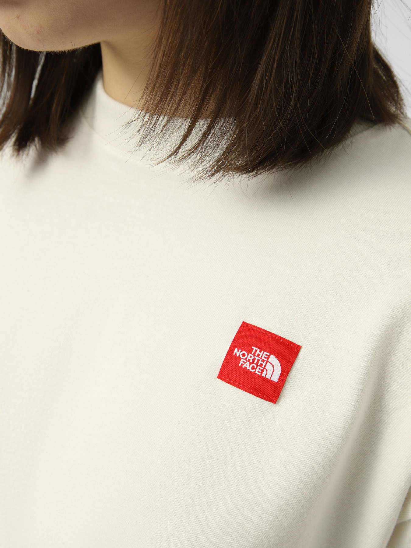 Футболки и поло The North Face W TNF RED BOX S/S BOXY TEE модель NF0A8EG6QLI1 Фото