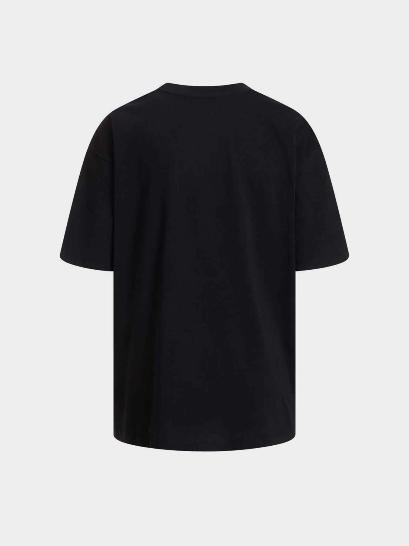 The North Face модель NF0A8EVXJK31 Фото