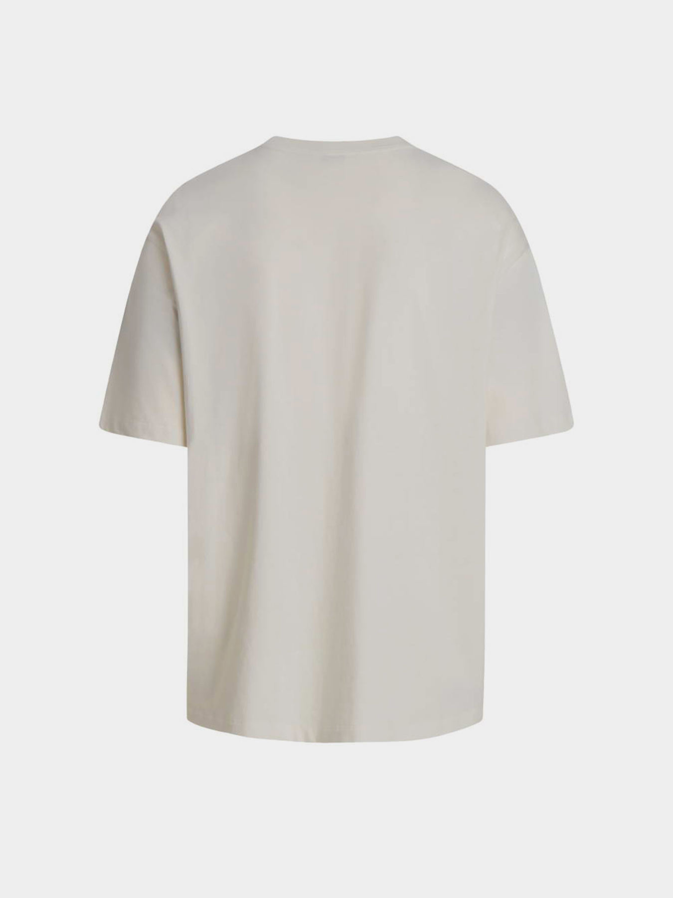 The North Face модель NF0A8EVXQLI1 Фото