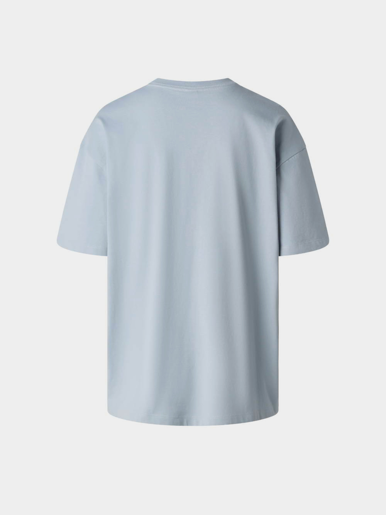 The North Face модель NF0A8EVXFM21 Фото