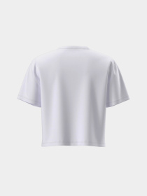 The North Face модель NF0A8FDHFN41 Фото