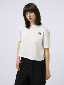 Футболка The North Face W EVOLUTION SIMPLE DOME CROP R модель NF0A8FDHFN41 Фото