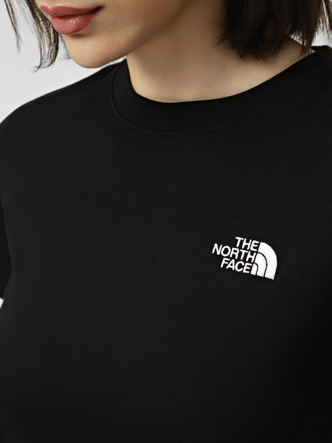 Футболки и поло The North Face W EVOLUTION SIMPLE DOME SLM SH модель NF0A8FX7JK31 Фото