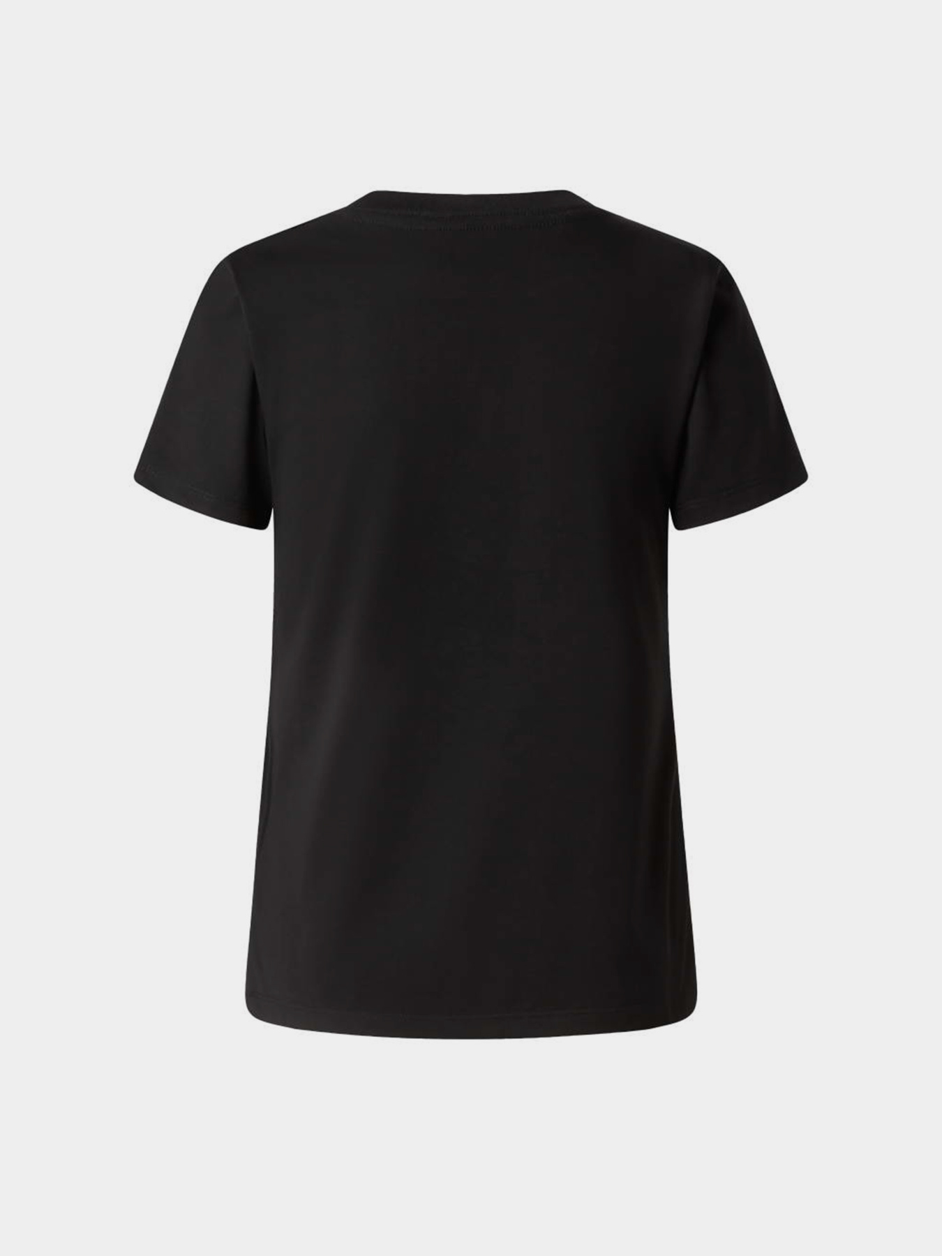 The North Face модель NF0A8FX7JK31 Фото