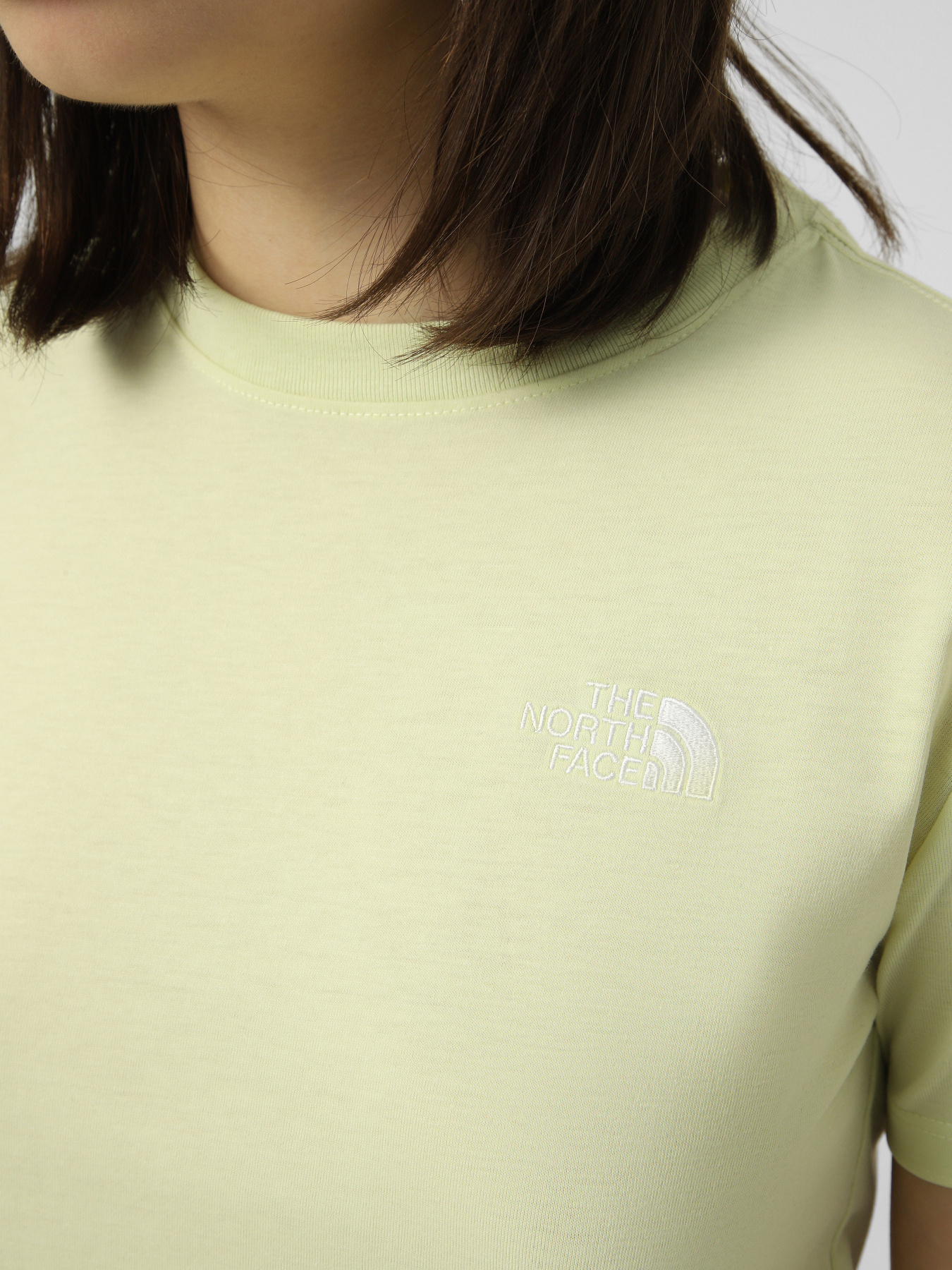 Футболки и поло The North Face W EVOLUTION SIMPLE DOME SLM SH модель NF0A8FX7G6O1 Фото