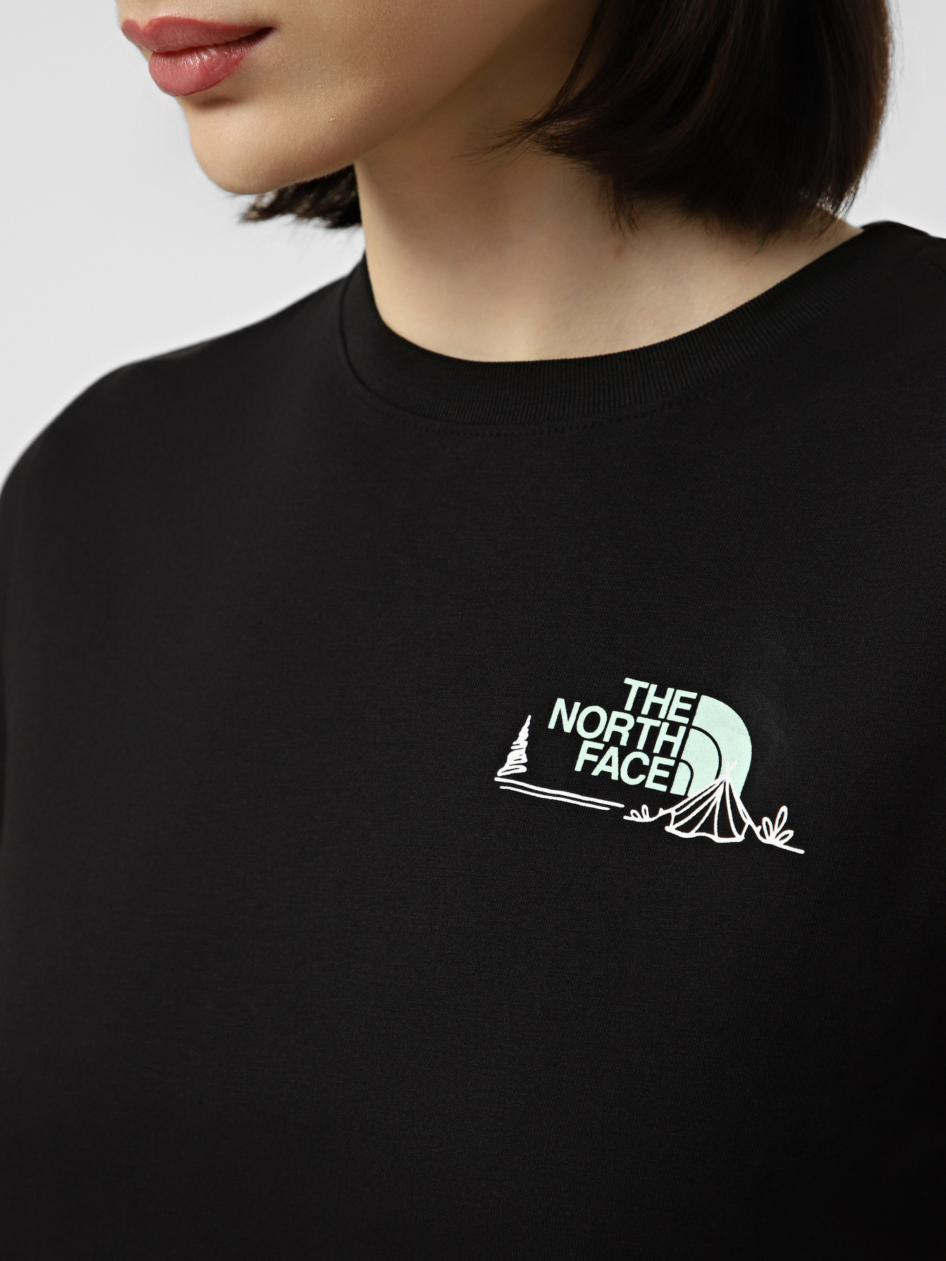 Футболки і поло The North Face W MONTE REGULAR SHORT SLEEVE T модель NF0A8GA9JK31 Фото
