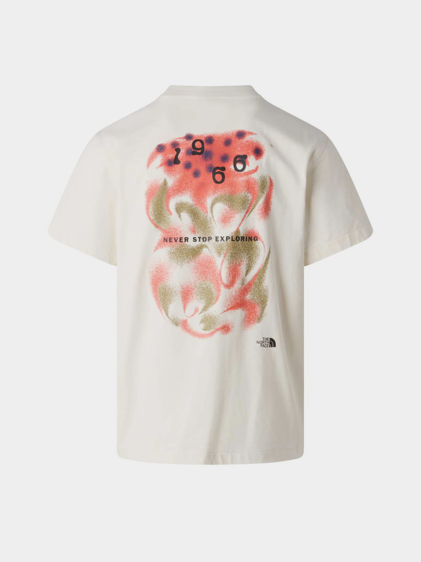 The North Face модель NF0A8GAHQLI1 Фото