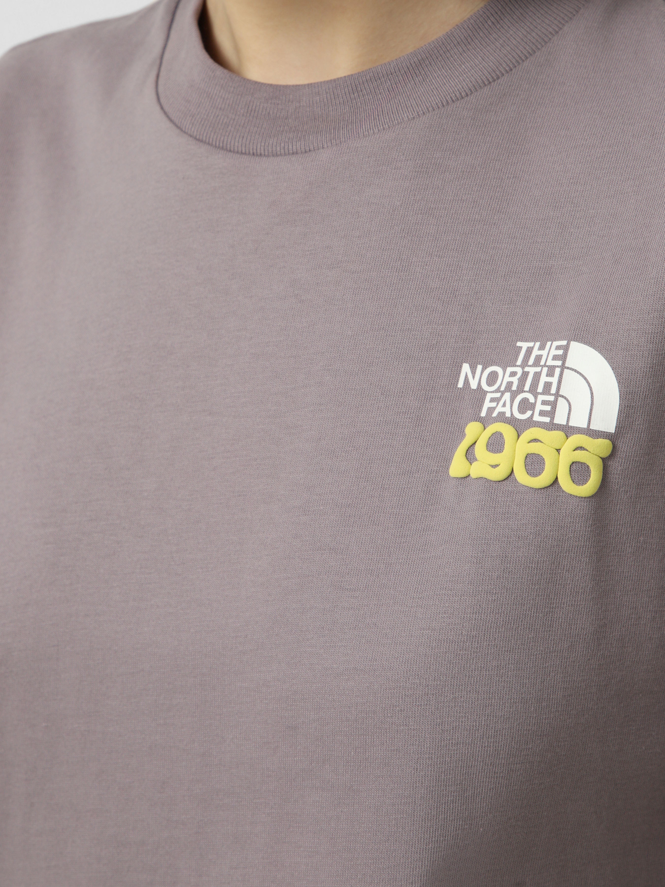 Футболки и поло The North Face M 1966 MOTION RELAXED SHORT SL модель NF0A8GAHG7O1 Фото
