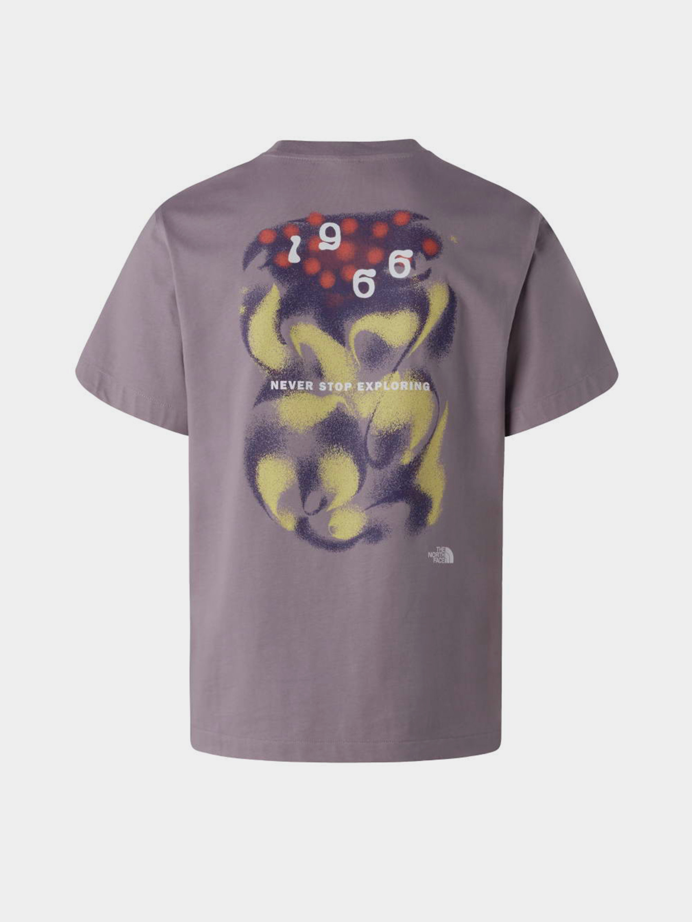 The North Face модель NF0A8GAHG7O1 Фото