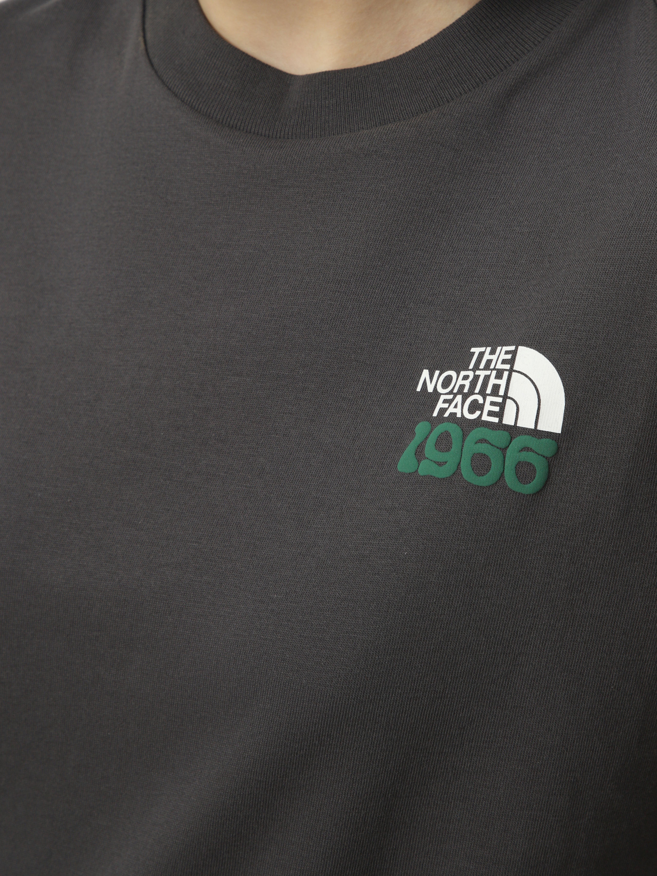 Футболки и поло The North Face M 1966 MOTION RELAXED SHORT SL модель NF0A8GAHRHI1 Фото