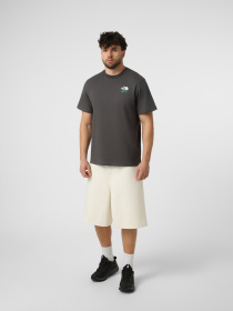 Футболки и поло The North Face M 1966 MOTION RELAXED SHORT SL модель NF0A8GAHRHI1 Фото