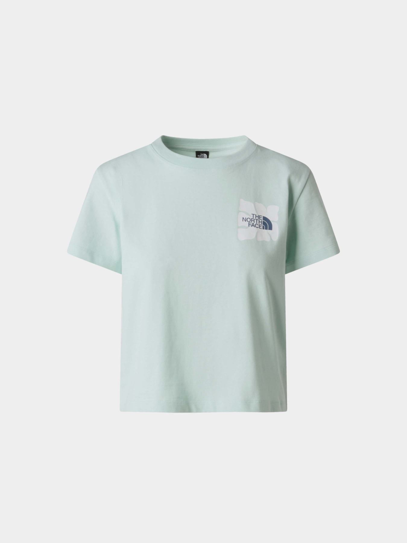 Футболки и поло The North Face W SUN REGULAR SHORT SLEEVE CUT модель NF0A8GQSG701 Фото