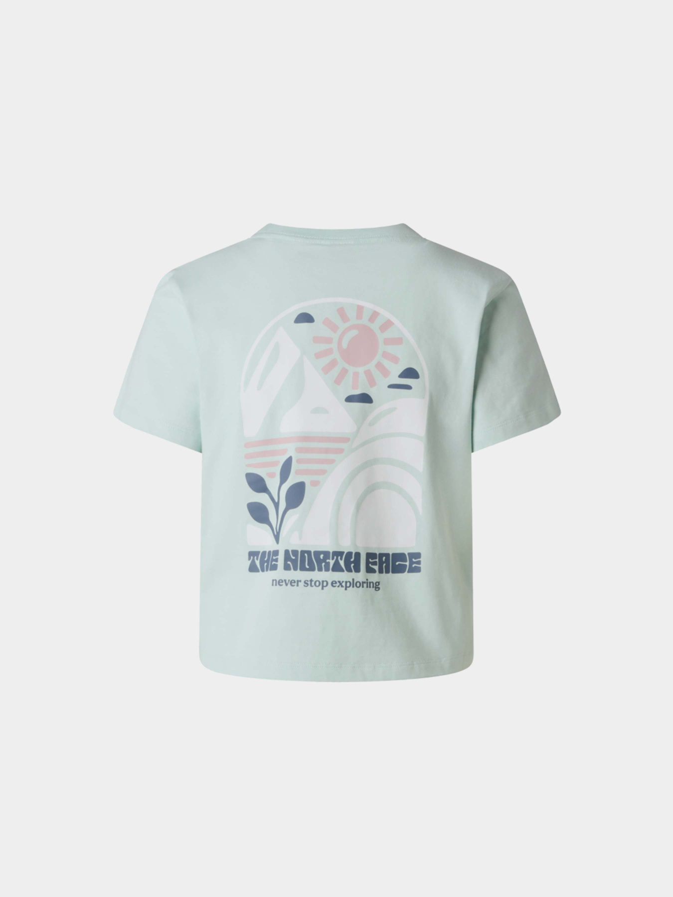Футболки и поло The North Face W SUN REGULAR SHORT SLEEVE CUT модель NF0A8GQSG701 Фото