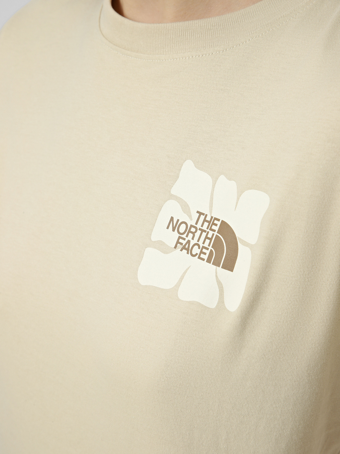 Футболки і поло The North Face W SUN REGULAR SHORT SLEEVE CUT модель NF0A8GQSDOM1 Фото