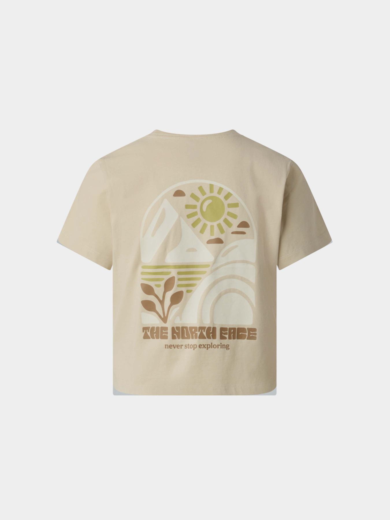 Футболки и поло The North Face W SUN REGULAR SHORT SLEEVE CUT модель NF0A8GQSDOM1 Фото