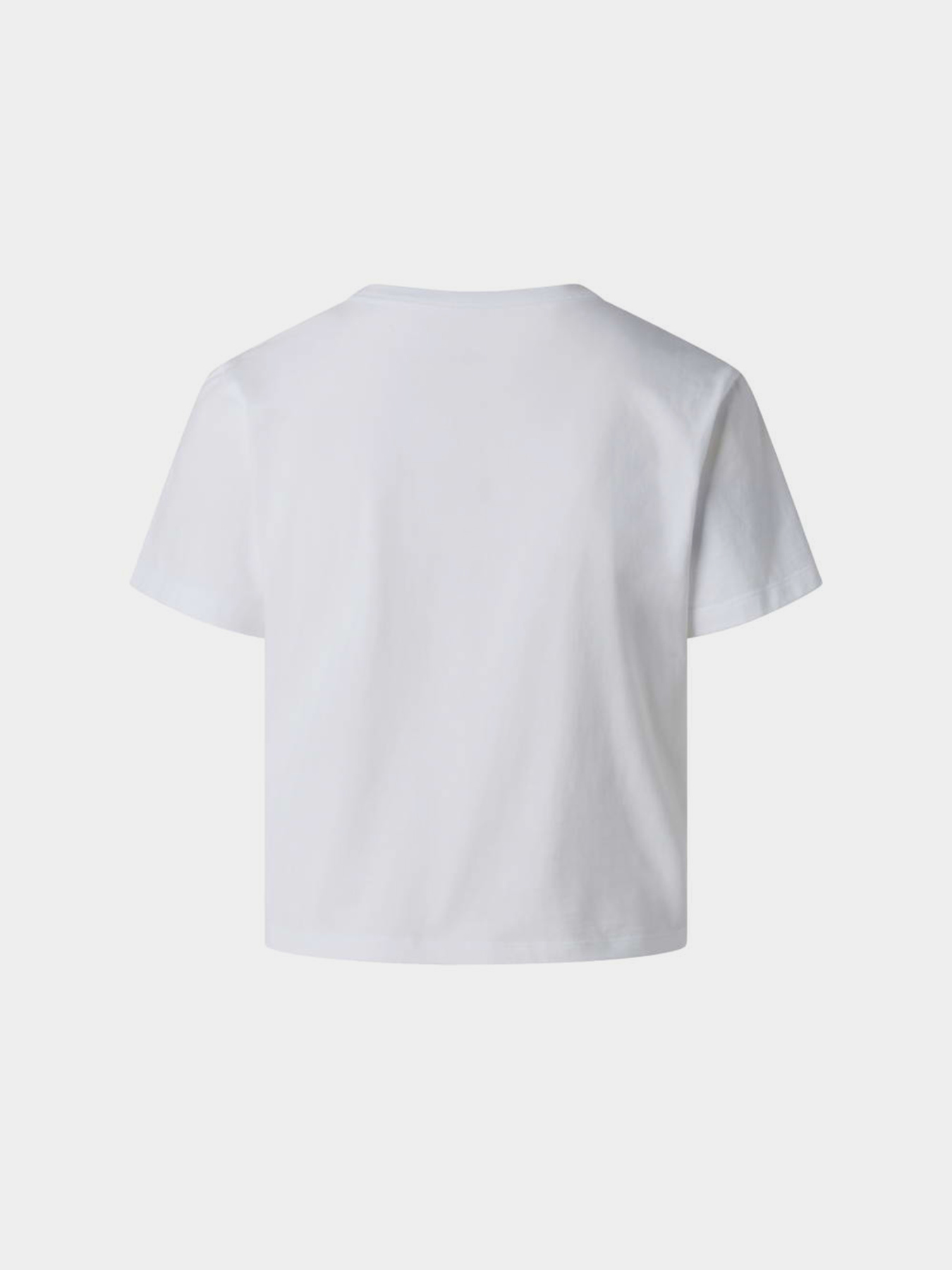 The North Face модель NF0A8GR1FN41 Фото