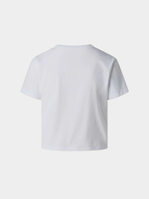 The North Face модель NF0A8GR1FN41 Фото