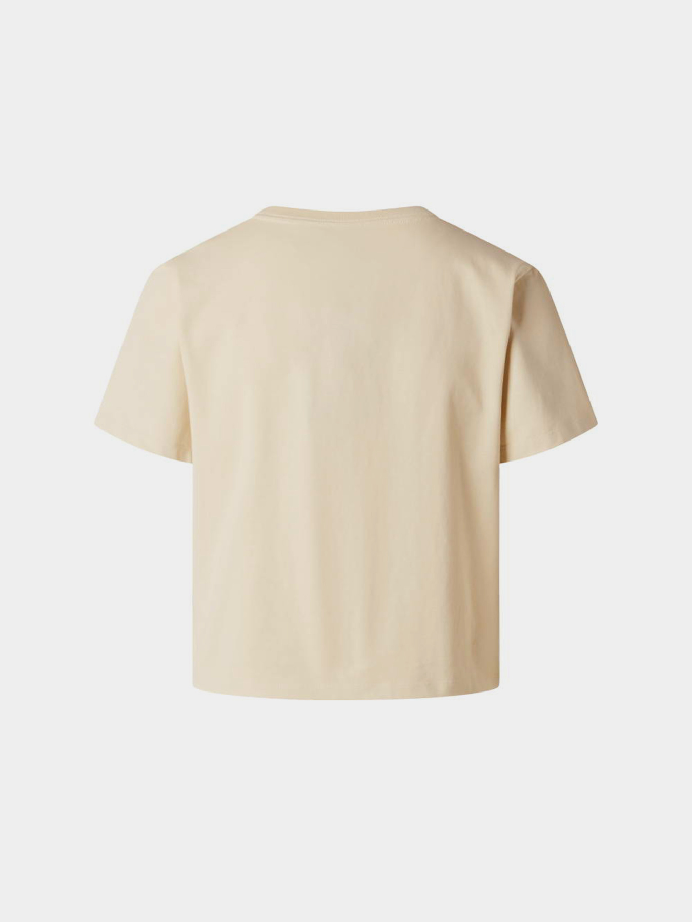 The North Face модель NF0A8GR1DOM1 Фото