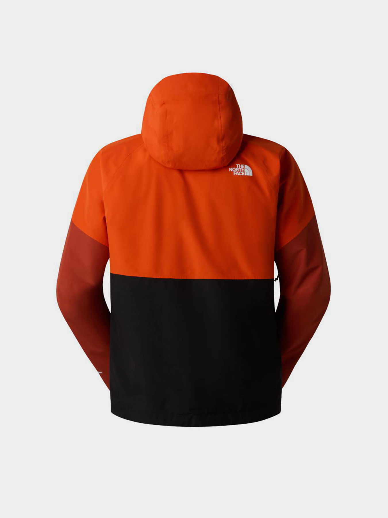 The North Face модель NF0A87GNMOF1 Фото