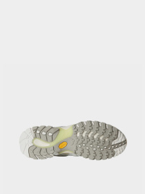 The North Face модель NF0A8AE9L3P1 Фото