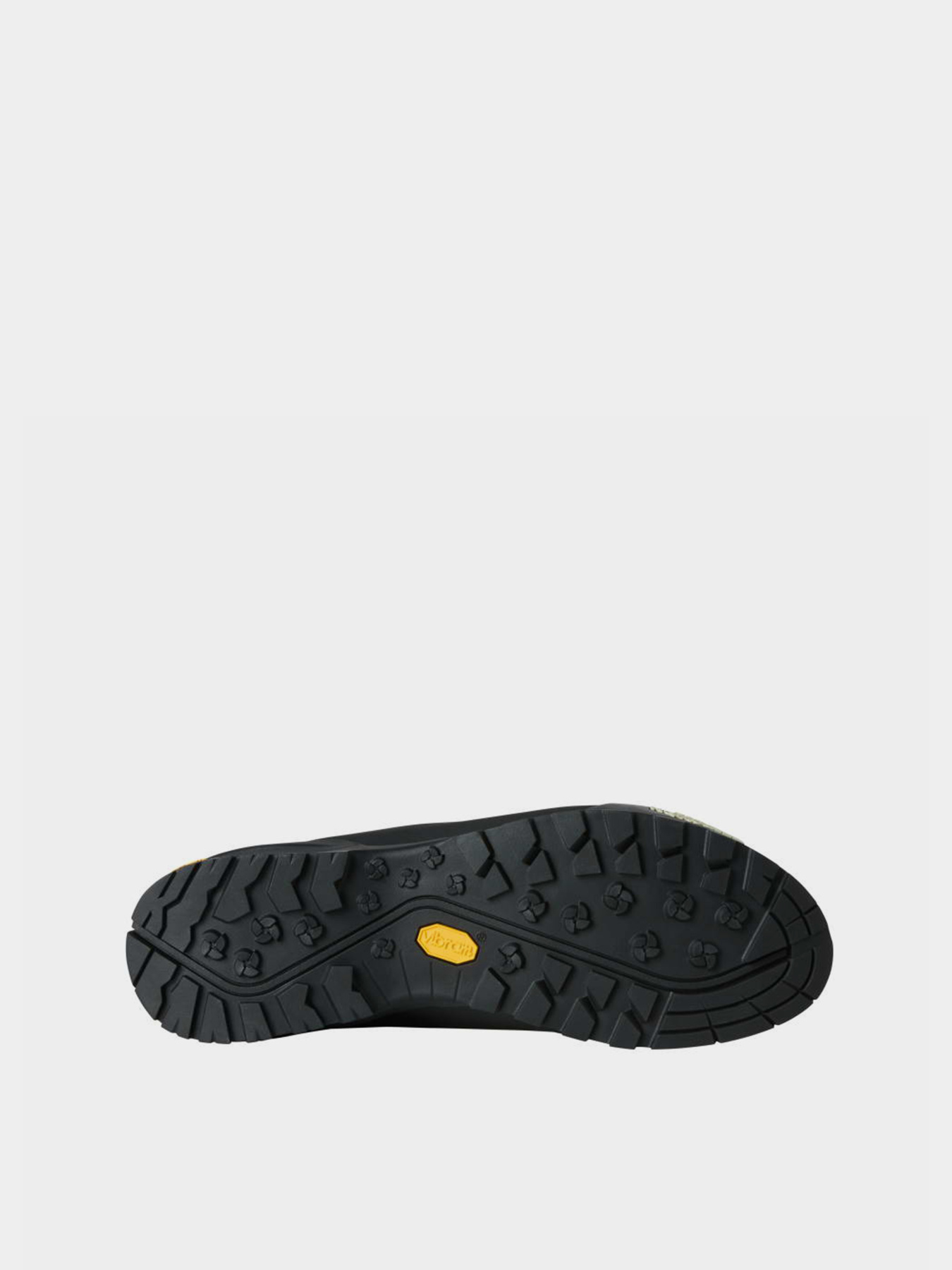 The North Face NF0A8DAPGIY1 модель NF0A8DAPGIY1 Фото