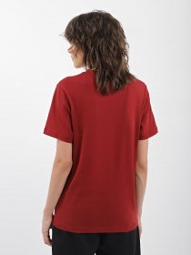 Футболка National Geographic Foundation Big Logo модель W999-03-921_бордовий комб. Фото