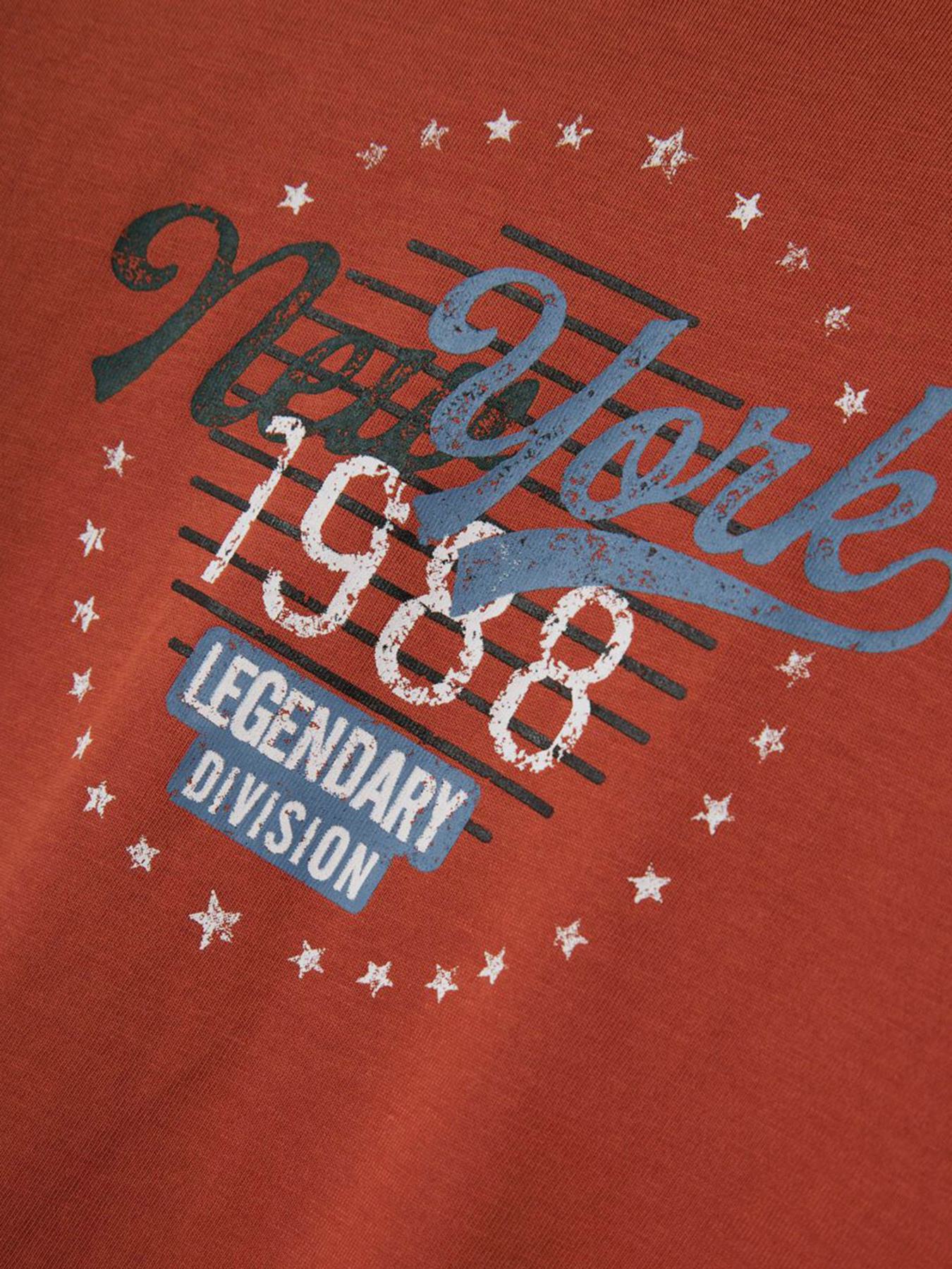 Лонгслів Name it модель 13224962_Baked Clay New York Фото