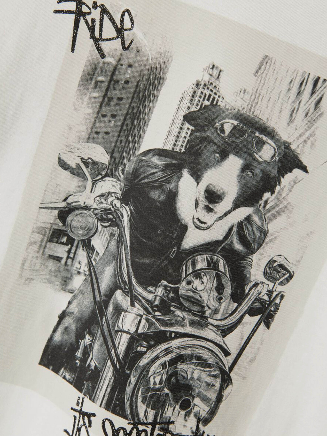 Футболка Name it модель 13227474_Jet Stream Dog Фото