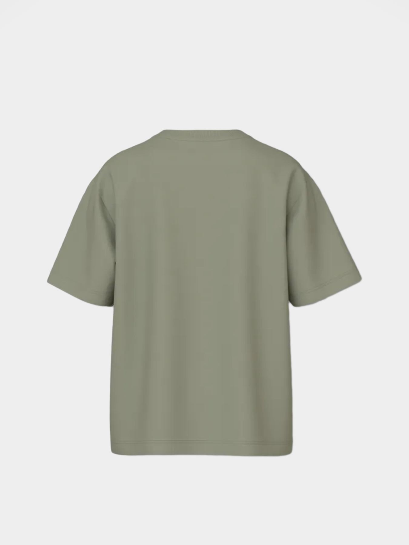 Футболка Name it модель 13239070_Tea Capybara Фото