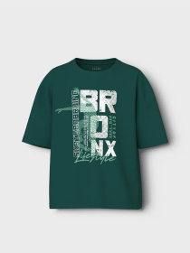 Футболка Name it Модель 13241586_Forest Biome Bronx Фото
