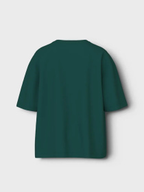 Футболка Name it модель 13241586_Forest Biome Bronx Футболка Name it модель 13241586_Forest Biome Bronx Фото