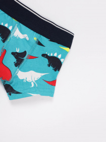 Набір трусів Name it модель 818192501TC25_комб. Фото