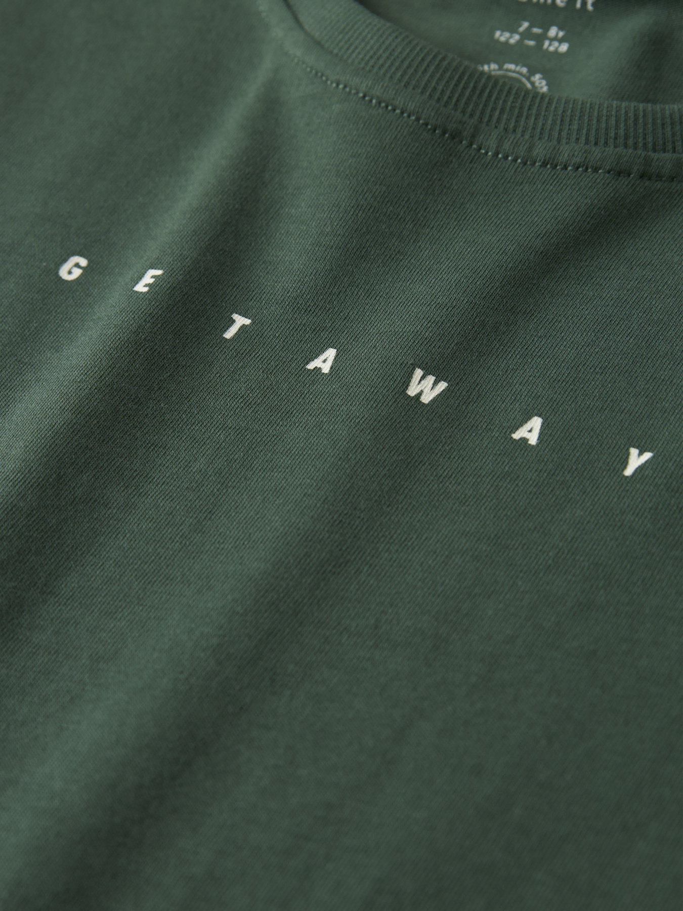 Футболка Name it модель 13244906_Garden Topiary Фото