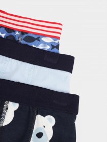 Набір трусів Name it модель 818292501T135_комб. Фото