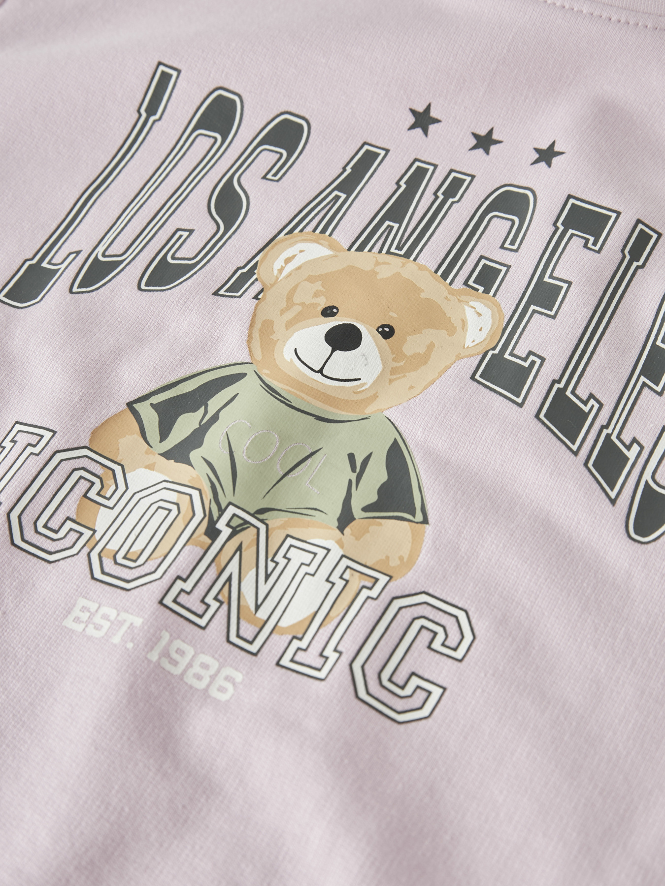 Лонгслів Name it модель 13238413_Pirouette La Teddy Фото