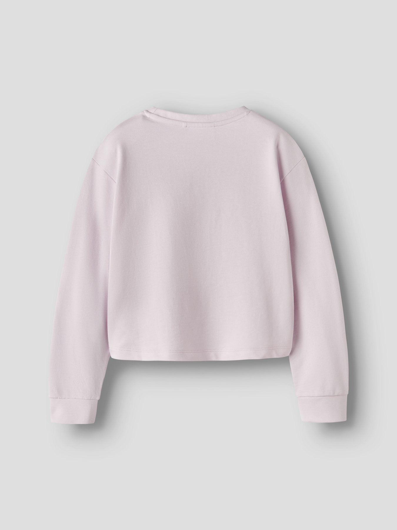 Світшот Name it модель 13238413_Pirouette La Teddy Фото