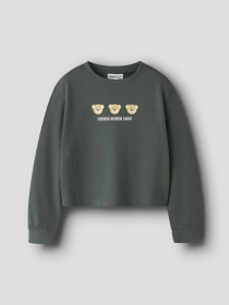 Світшот Name it модель 13238413_Urban Chic Iconic Teddy Фото