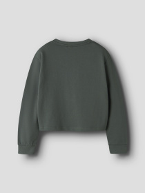 Світшот Name it модель 13238413_Urban Chic Iconic Teddy Фото