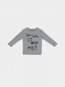 Лонгслив Name it модель 8184T2505T335_сірий комб. Фото