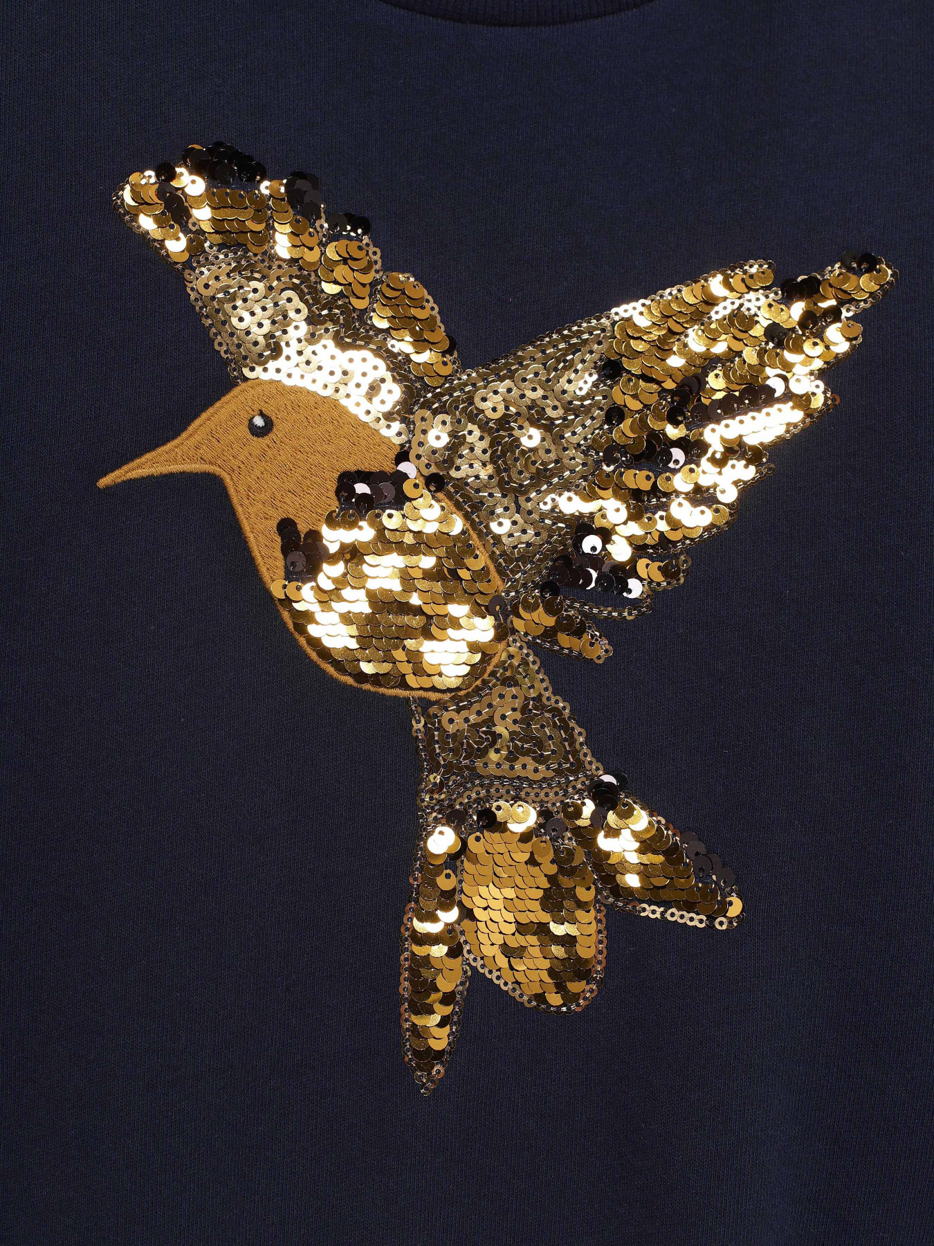 Свитшот Name it модель 8191A4503T825_т.синій з золотим Фото