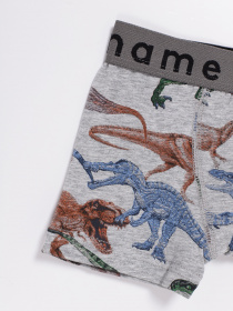 Набір трусів Name it модель 8191AK502_комб. Фото