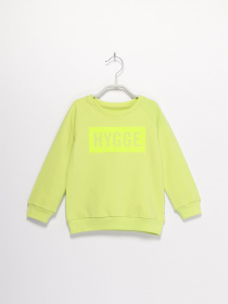 Свитшот Name it модель 8193A4501_салатовий Фото