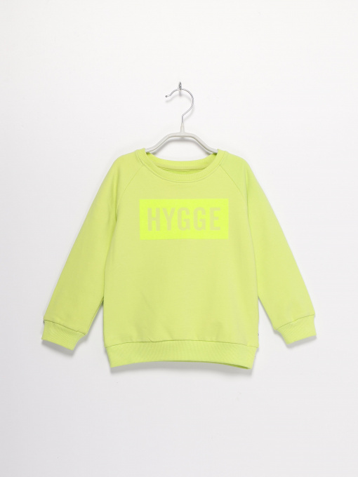 Свитшот Name it модель 8193A4501_салатовий Фото