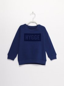 Свитшот Name it модель 8193A4501_синій Фото