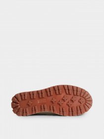 Ботинки Napapijri Snowrun модель NP0A4H7603D1 Фото