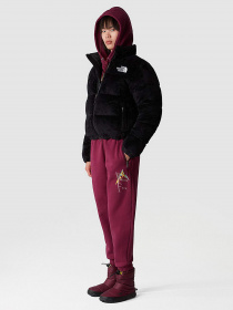 Сапоги дутики The North Face Nuptse Apres модель NF0A5LWCKK91 Фото