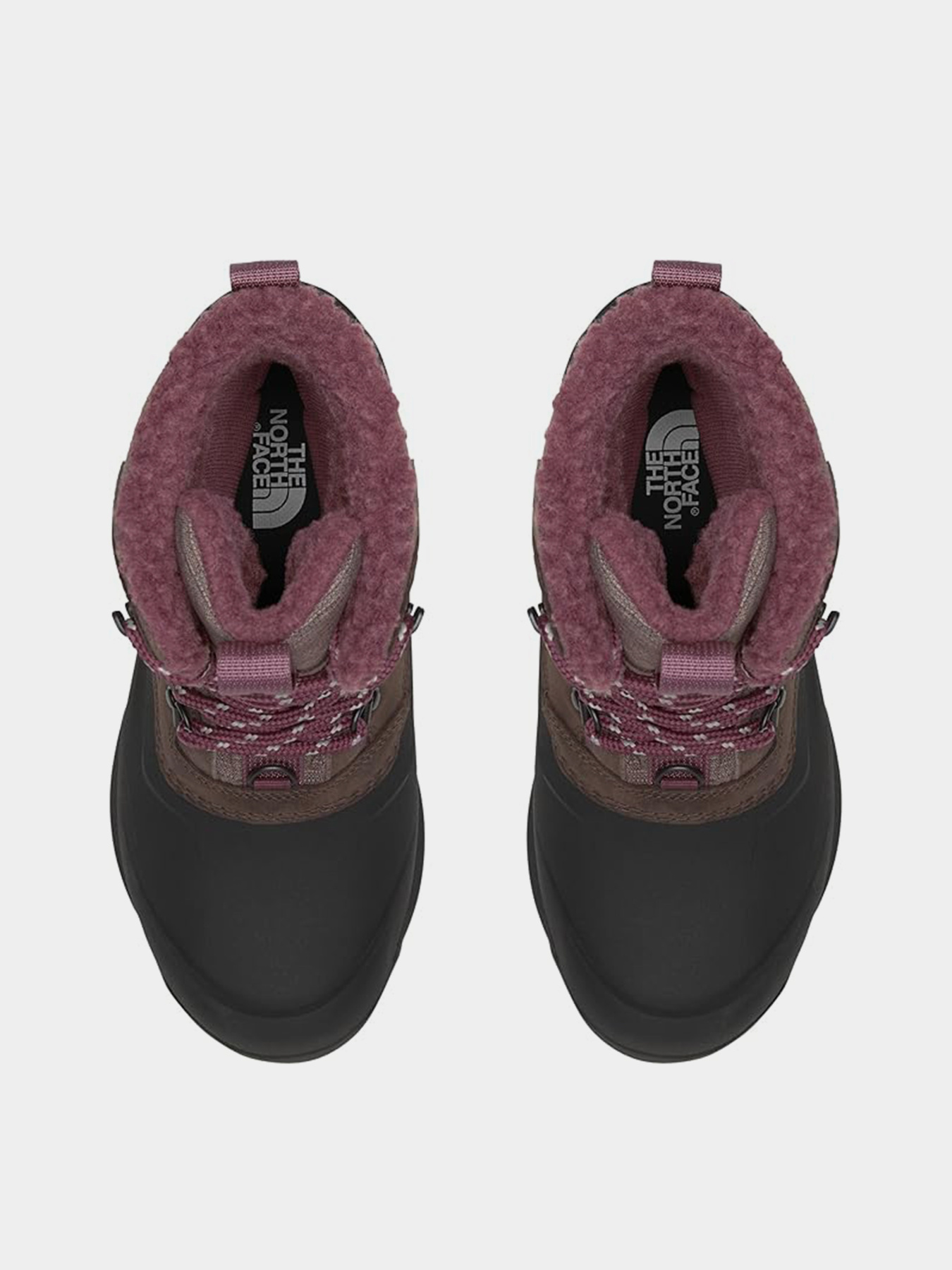 Ботинки аутдор The North Face модель NF0A5LW17T41 Фото