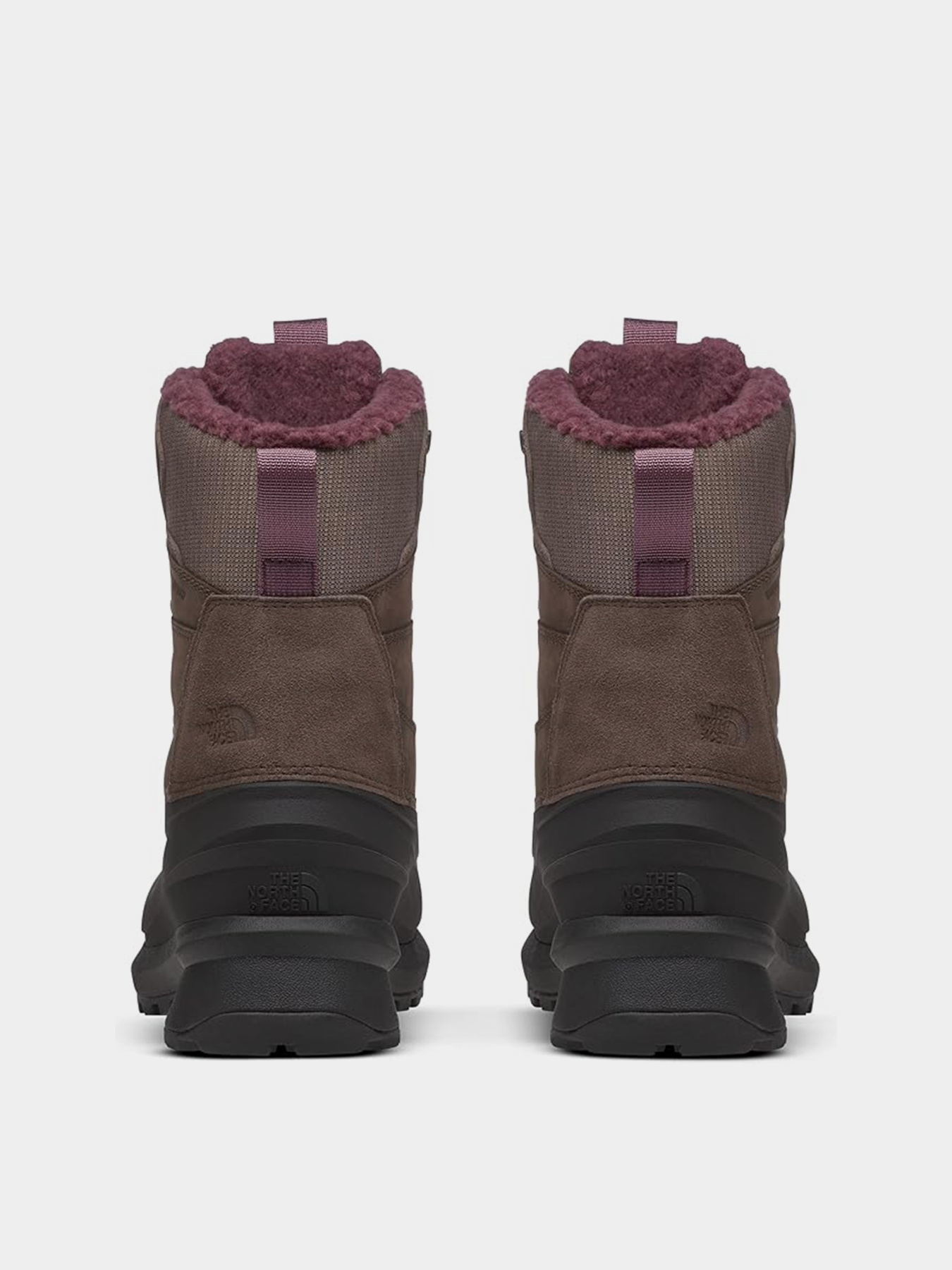 Ботинки аутдор The North Face модель NF0A5LW17T41 Фото