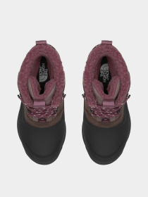 Ботинки аутдор The North Face модель NF0A5LW17T41 Фото