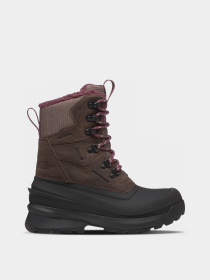 Ботинки аутдор The North Face модель NF0A5LW17T41 Фото